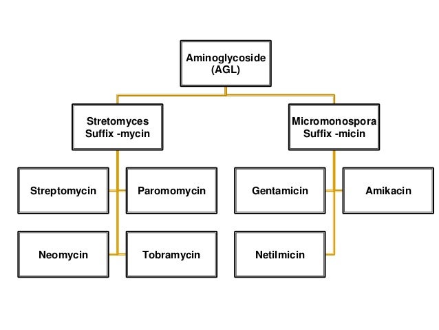 Class aminoglycosides 2 Class aminoglycosides 2