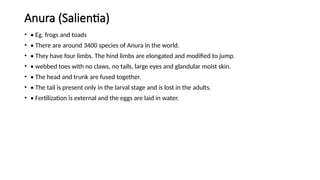 Comprehensive Overview of Amphibians: Biology, Classification, and ...