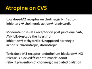 Low dose-M2 receptor on cholinergic N auto-
inhibitary cholinergic action bradycardia
Moderate dose- M2 receptor on post junctional SAN,
AVN blkescape the heart from
inhibitiontachycardia+Unopposed adrenegic
action chronotropic, dronotropic
Toxic dose-M3 receptor-endothelium blockade NO
release is blockedsmooth muscle donot
relaxprevention of cholinergic mediated dialation
 