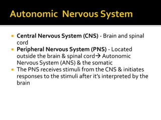  Central Nervous System (CNS) - Brain and spinal
cord
 Peripheral Nervous System (PNS) - Located
outside the brain & spinal cord Autonomic
Nervous System (ANS) & the somatic
 The PNS receives stimuli from the CNS & initiates
responses to the stimuli after it’s interpreted by the
brain
 