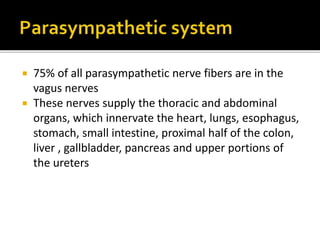  75% of all parasympathetic nerve fibers are in the
vagus nerves
 These nerves supply the thoracic and abdominal
organs, which innervate the heart, lungs, esophagus,
stomach, small intestine, proximal half of the colon,
liver , gallbladder, pancreas and upper portions of
the ureters
 
