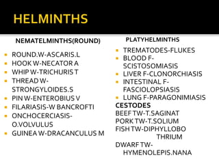 NEMATELMINTHS(ROUND)
 ROUND.W-ASCARIS.L
 HOOKW-NECATOR A
 WHIPW-TRICHURIST
 THREAD W-
STRONGYLOIDES.S
 PINW-ENTEROBIUSV
 FILARIASIS-W BANCROFTI
 ONCHOCERCIASIS-
O.VOLVULUS
 GUINEA W-DRACANCULUS M
PLATYHELMINTHS
 TREMATODES-FLUKES
 BLOOD F-
SCISTOSOMIASIS
 LIVER F-CLONORCHIASIS
 INTESTINAL F-
FASCIOLOPSIASIS
 LUNG F-PARAGONIMIASIS
CESTODES
BEEFTW-T.SAGINATA
PORKTW-T.SOLIUM
FISHTW-DIPHYLLOBO
THRIUM
DWARFTW-
HYMENOLEPIS.NANA
 