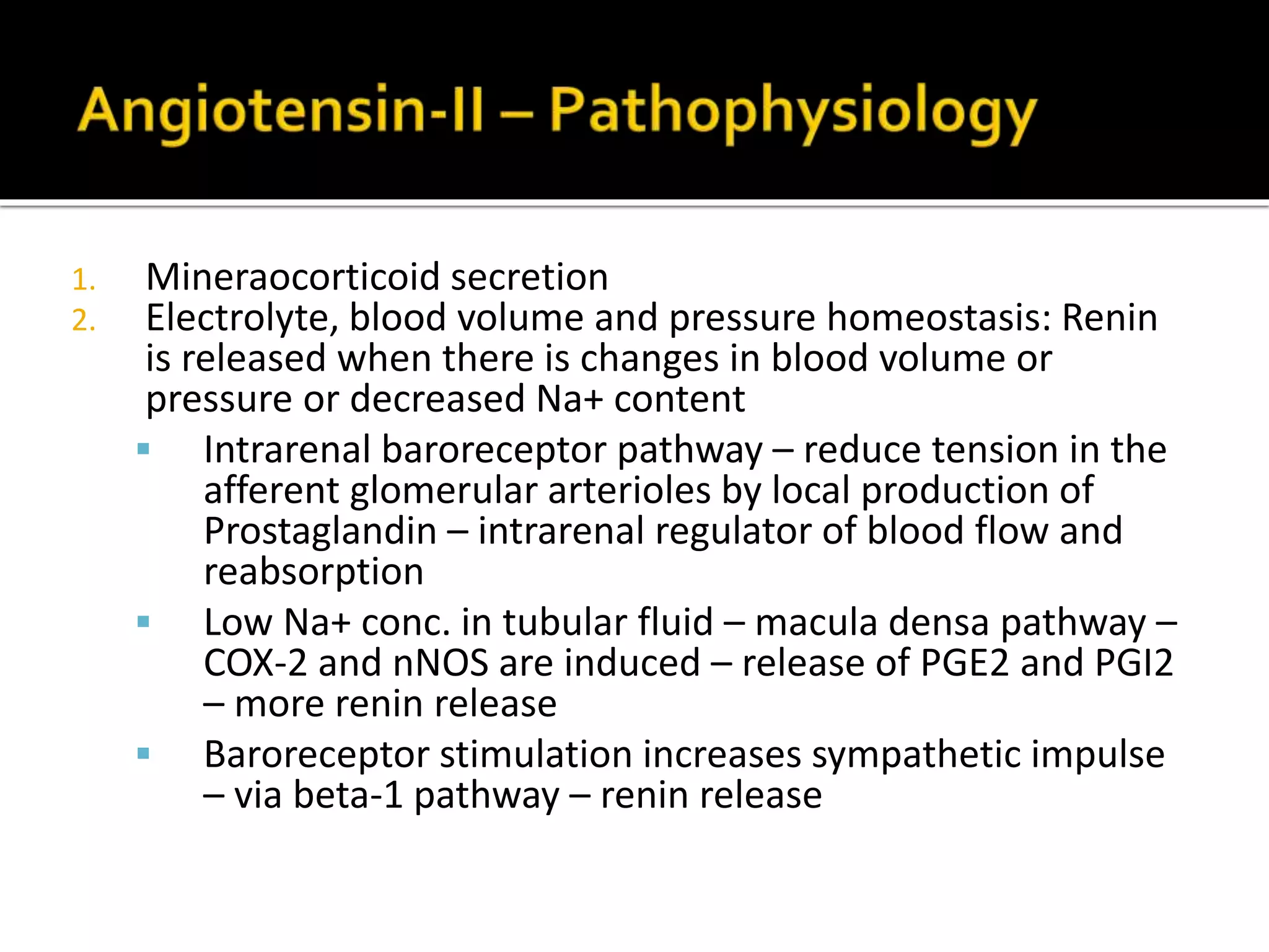 1. Mineraocorticoid secretion
2. Electrolyte, blood volume and pressure homeostasis: Renin
is released when there is changes in blood volume or
pressure or decreased Na+ content
 Intrarenal baroreceptor pathway – reduce tension in the
afferent glomerular arterioles by local production of
Prostaglandin – intrarenal regulator of blood flow and
reabsorption
 Low Na+ conc. in tubular fluid – macula densa pathway –
COX-2 and nNOS are induced – release of PGE2 and PGI2
– more renin release
 Baroreceptor stimulation increases sympathetic impulse
– via beta-1 pathway – renin release
 