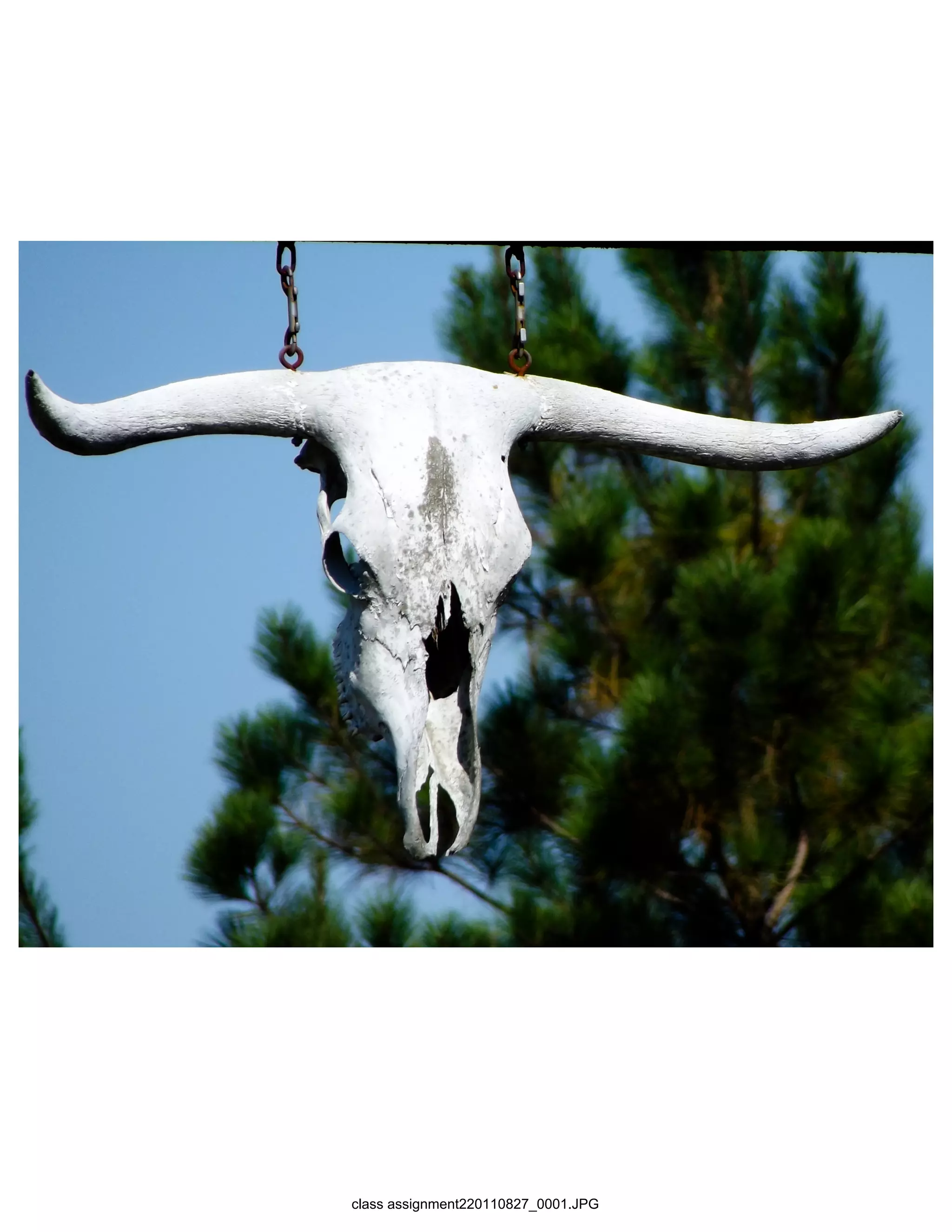 class assignment220110827_0001.JPG
 