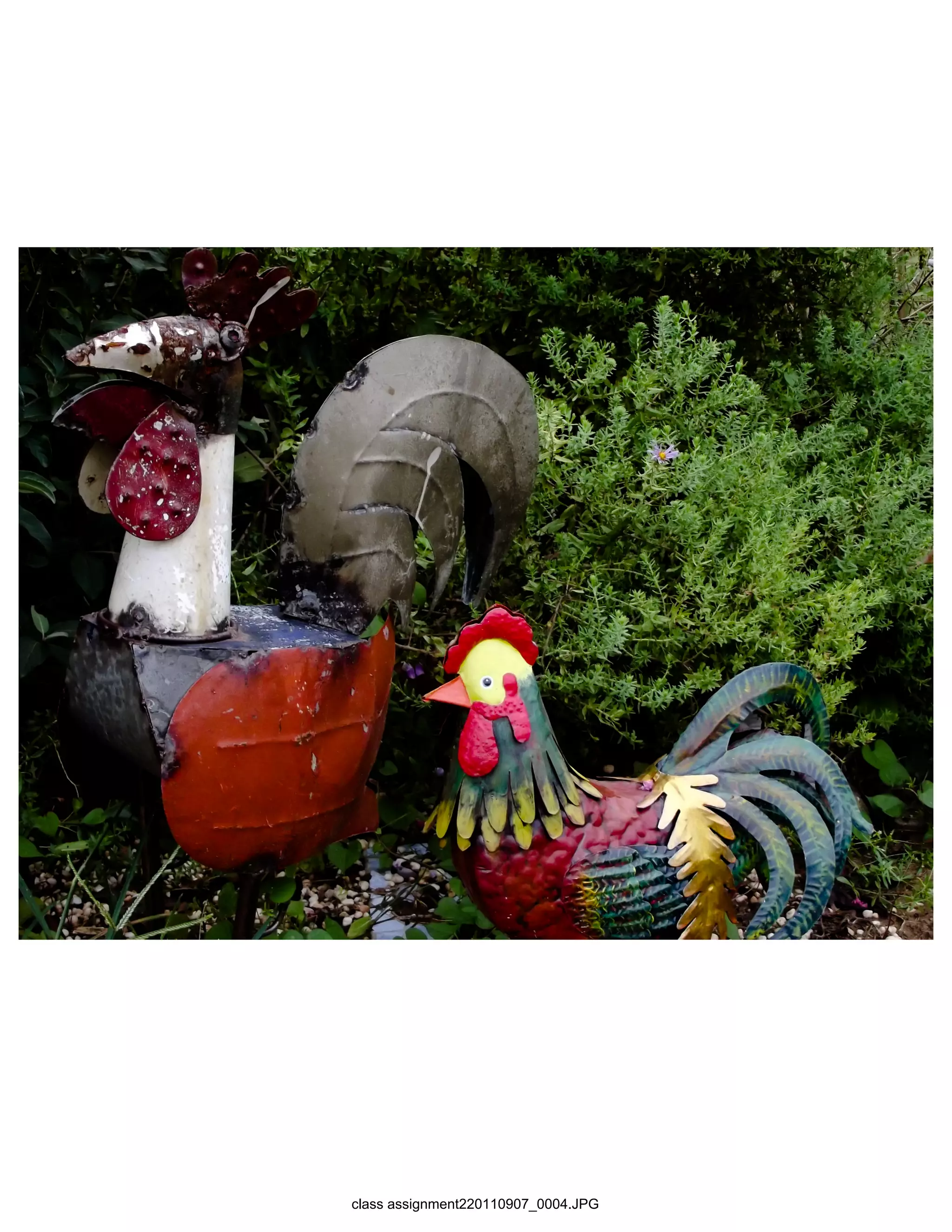 class assignment220110907_0004.JPG
 