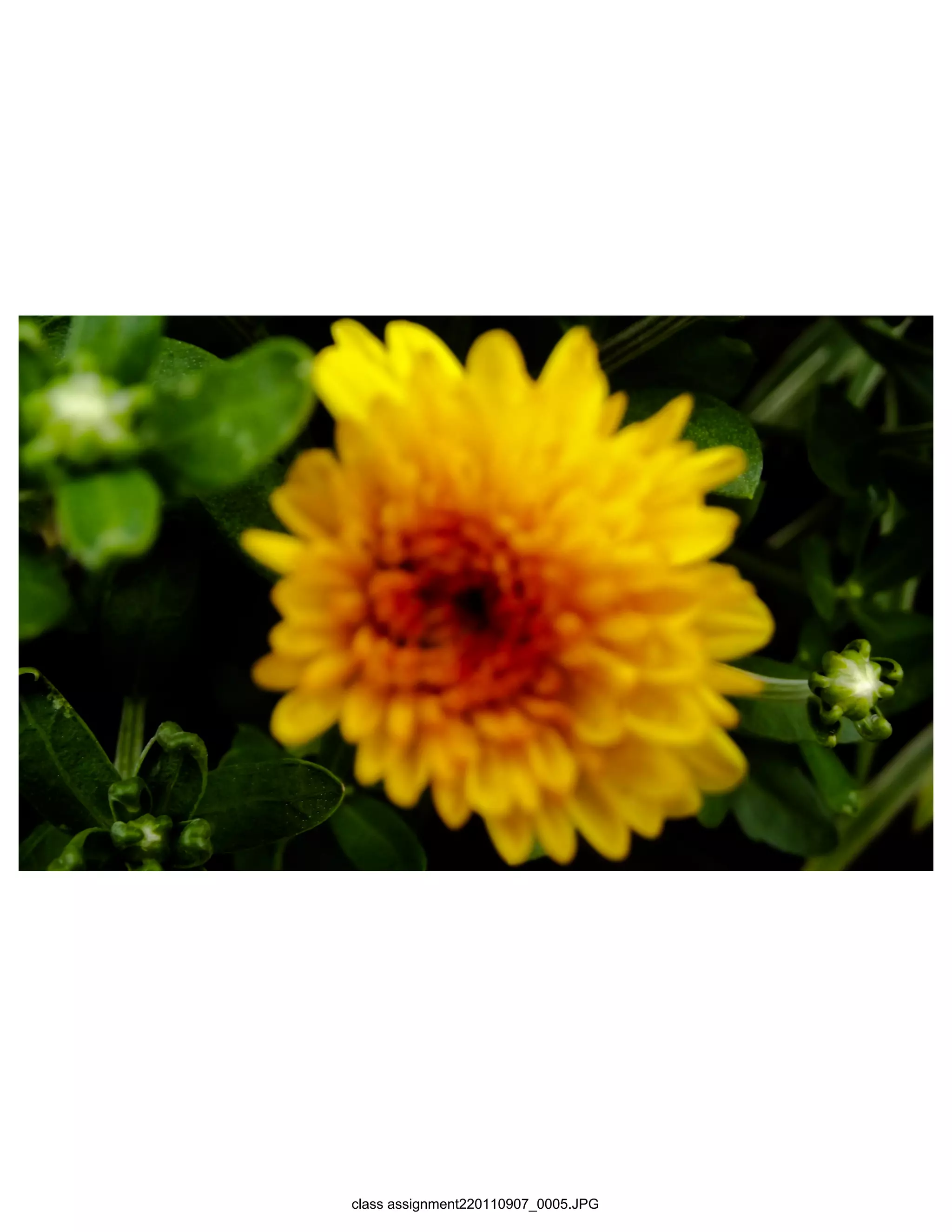 class assignment220110907_0005.JPG
 