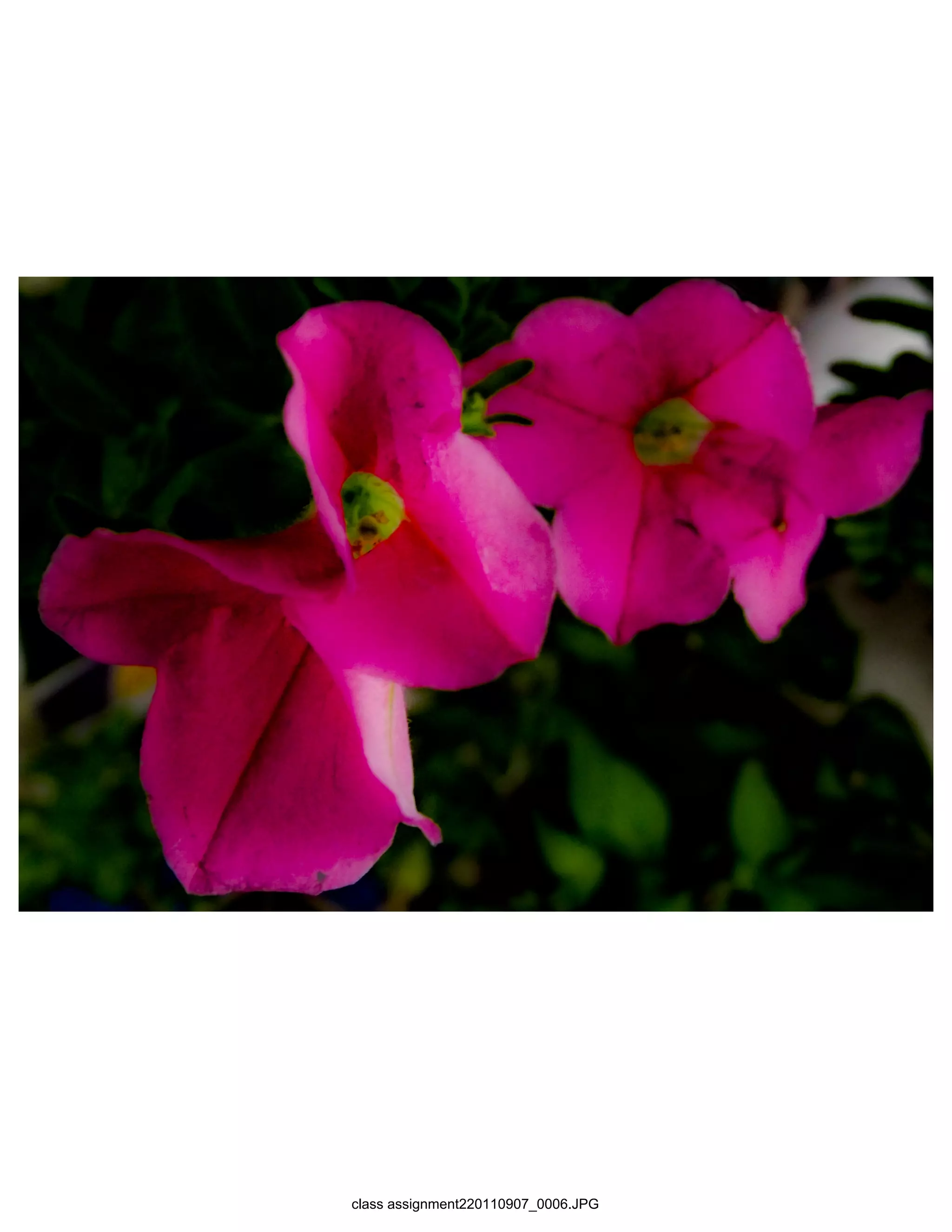 class assignment220110907_0006.JPG
 