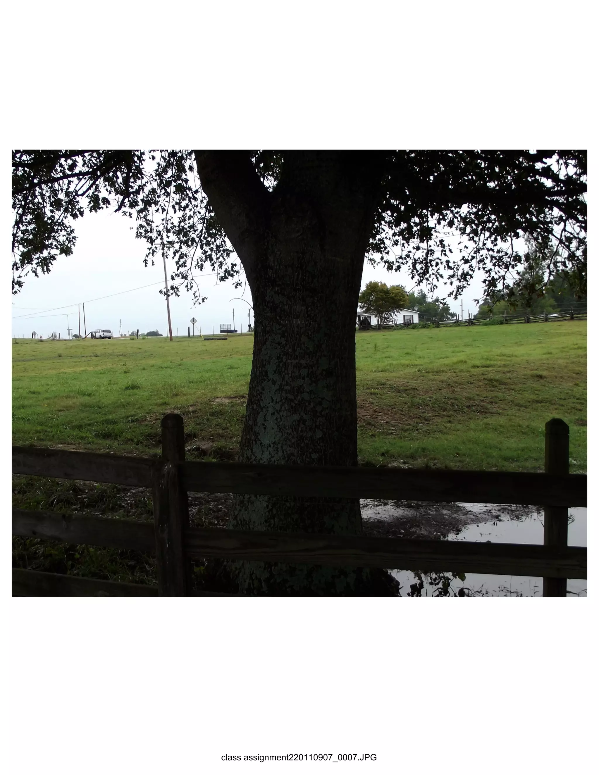 class assignment220110907_0007.JPG
 