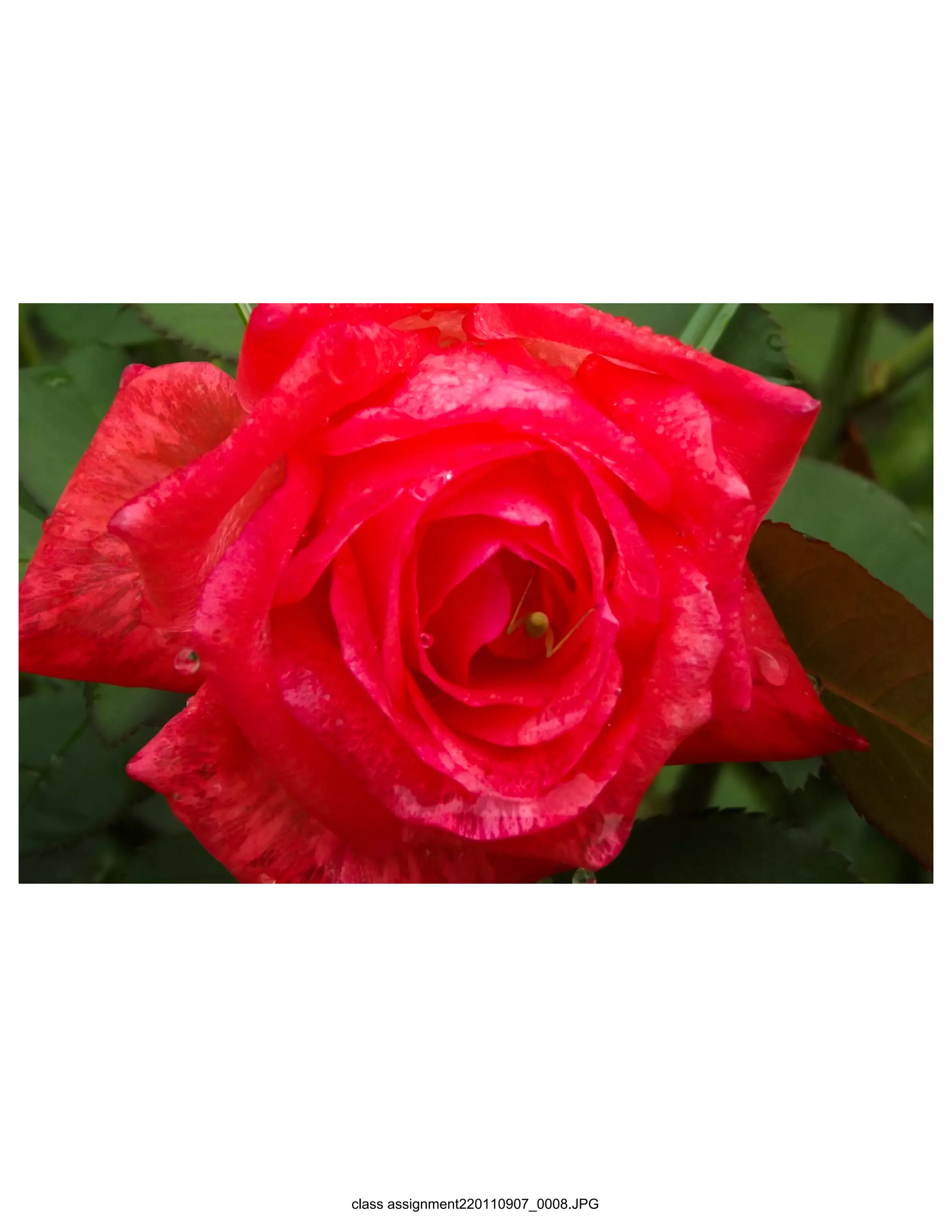 class assignment220110907_0008.JPG
 