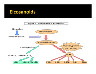 Class autocoids 3 prostaglandins | PDF