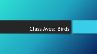 Class Aves: Birds

 