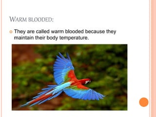 WARM BLOODED:
 They are called warm blooded because they
maintain their body temperature.
 