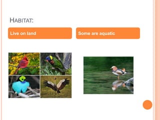 HABITAT:
Live on land Some are aquatic
 