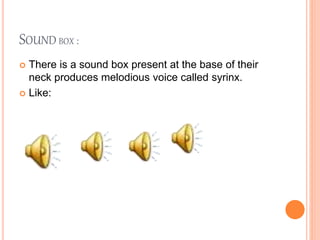 SOUND BOX :
 There is a sound box present at the base of their
neck produces melodious voice called syrinx.
 Like:
 
