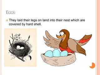 EGGS:
 They laid their legs on land into their nest which are
covered by hard shell.
 