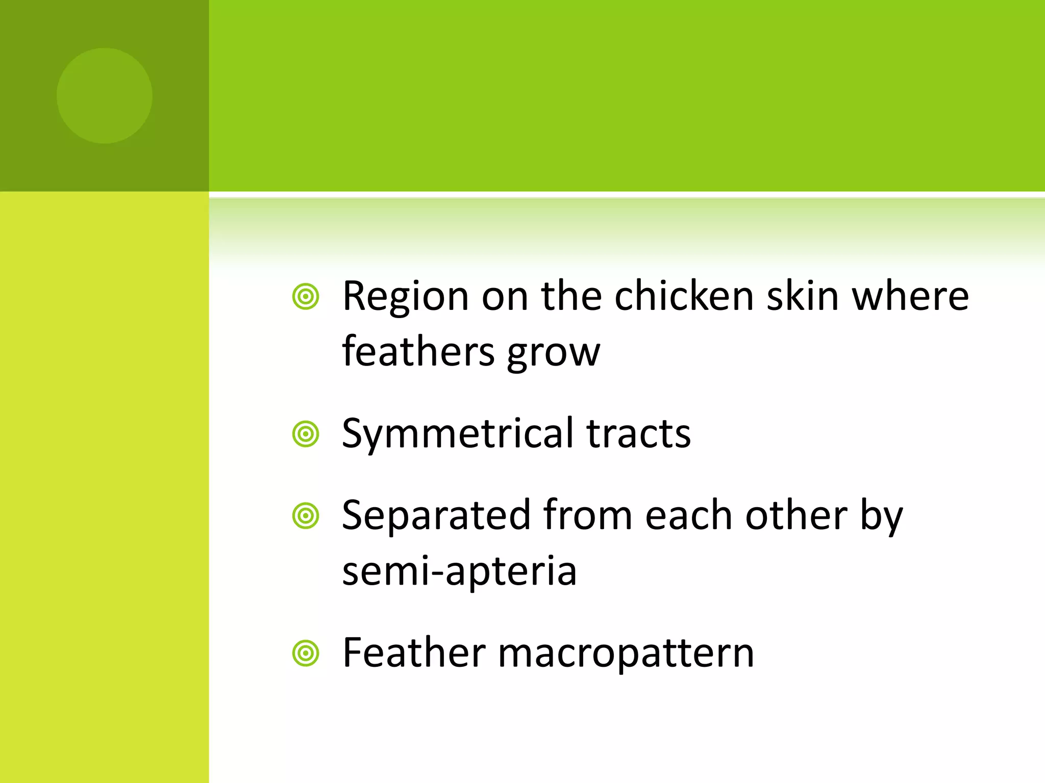    Region on the chicken skin where
    feathers grow
   Symmetrical tracts
   Separated from each other by
    semi-apteria
   Feather macropattern
 