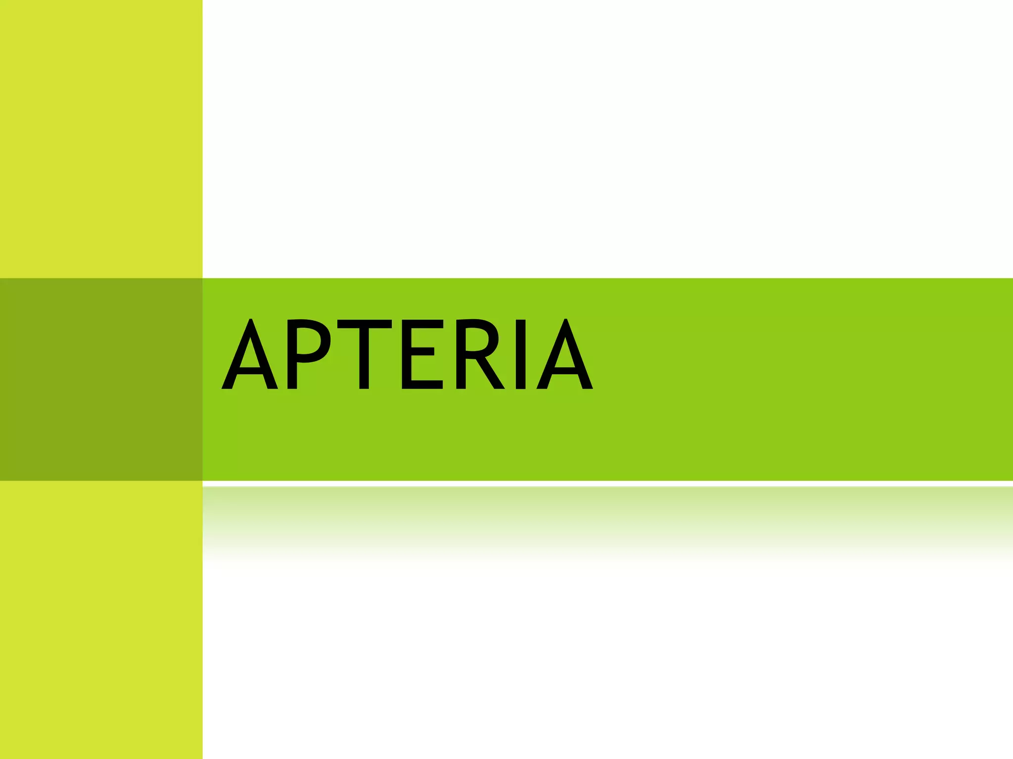 APTERIA
 
