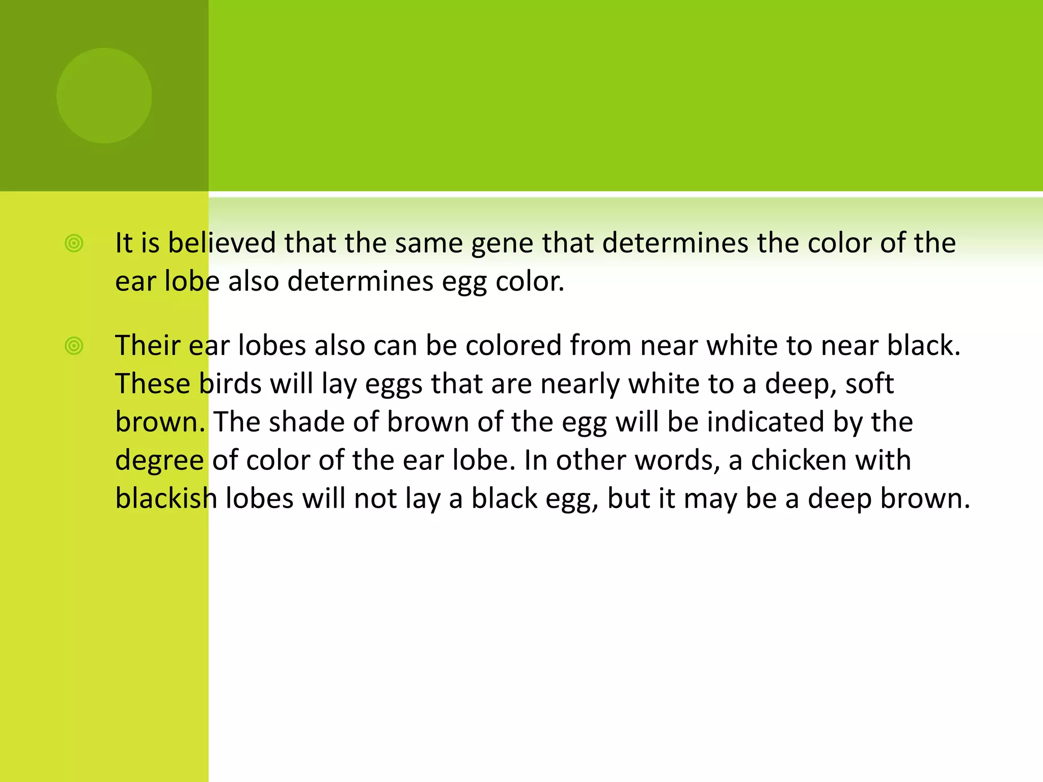    It is believed that the same gene that determines the color of the
    ear lobe also determines egg color.

   Their ear lobes also can be colored from near white to near black.
    These birds will lay eggs that are nearly white to a deep, soft
    brown. The shade of brown of the egg will be indicated by the
    degree of color of the ear lobe. In other words, a chicken with
    blackish lobes will not lay a black egg, but it may be a deep brown.
 