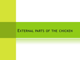 E XTERNAL PARTS OF THE CHICKEN
 