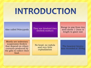 Range in size from tiny
                             They are bivalved (two
Also called Pelecypoda                                 seed shells 1-2mm in
                               shelled) mollucs
                                                        length to giant size



  Mostly are sedentary
  suspension feeders
                              No head, no radula
 that depend on ciliary                                The heaviest bivalve
                                and very little
 currents produced by                                 was recorded at 300kg
                                cephalization
the gills to collect their
           food.
 