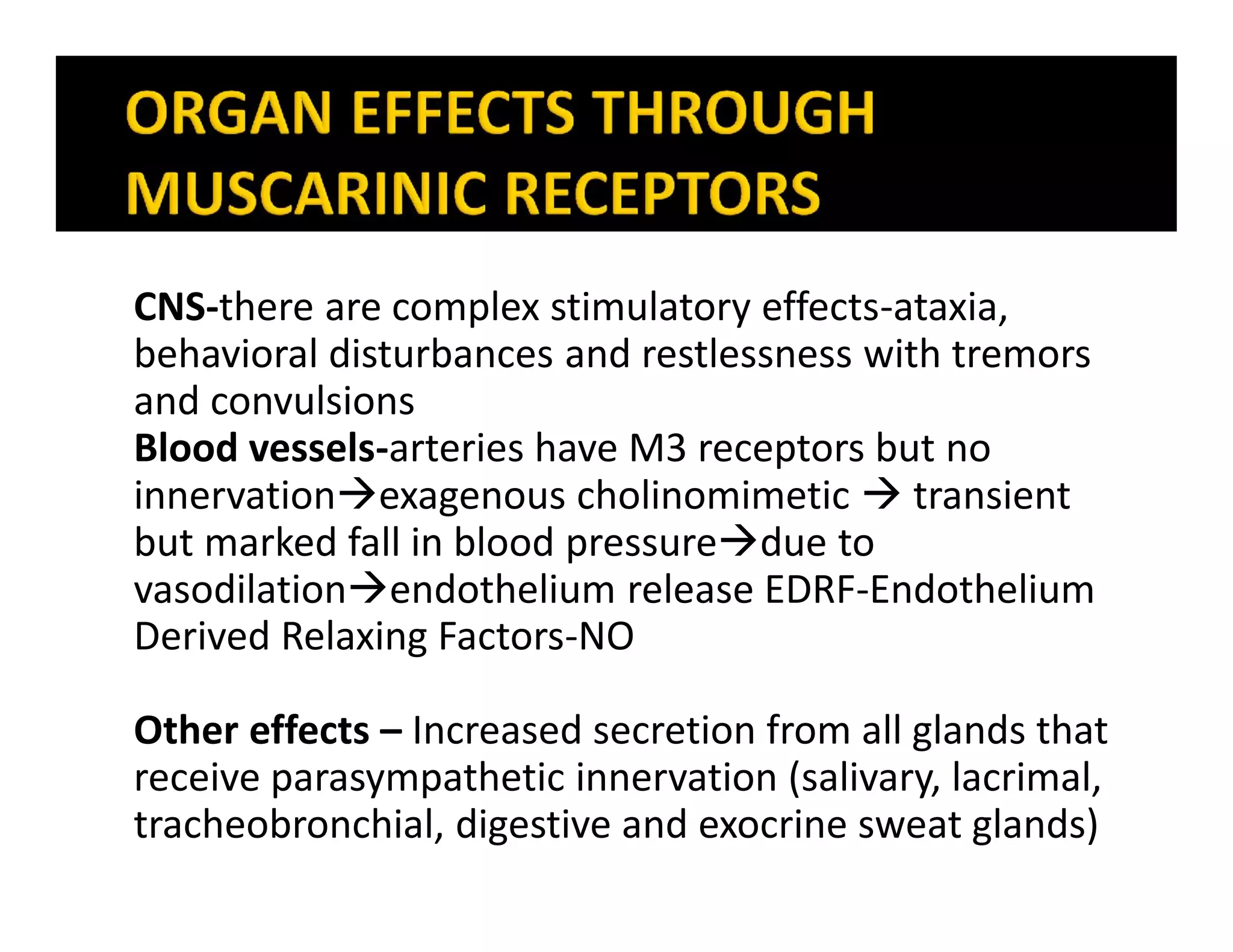 CNS-there are complex stimulatory effects-ataxia,
behavioral disturbances and restlessness with tremors
and convulsions
Blood vessels-arteries have M3 receptors but no
innervationexagenous cholinomimetic  transient
but marked fall in blood pressuredue to
vasodilationendothelium release EDRF-Endothelium
Derived Relaxing Factors-NO
Other effects – Increased secretion from all glands that
receive parasympathetic innervation (salivary, lacrimal,
tracheobronchial, digestive and exocrine sweat glands)
 