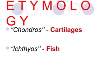 ETYMOLO
G Y - Cartilages
“Chondros’’
“Ichthyos’’

- Fish

 