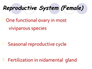 Reproductive System (Female)


One functional ovary in most
viviparous species



Seasonal reproductive cycle



Fertilization in nidamental gland

 