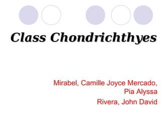 Class Chondrichthyes

Mirabel, Camille Joyce Mercado,
Pia Alyssa
Rivera, John David

 