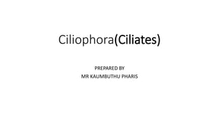 Ciliophora(Ciliates)
PREPARED BY
MR KAUMBUTHU PHARIS
 