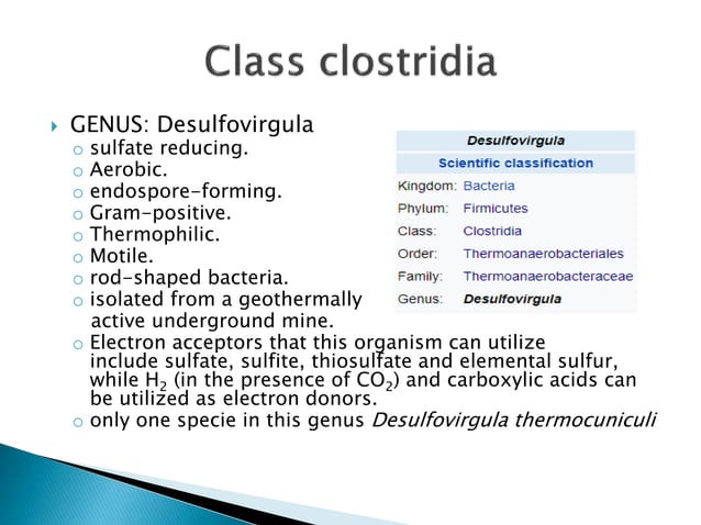 Class clostridia | PPTX