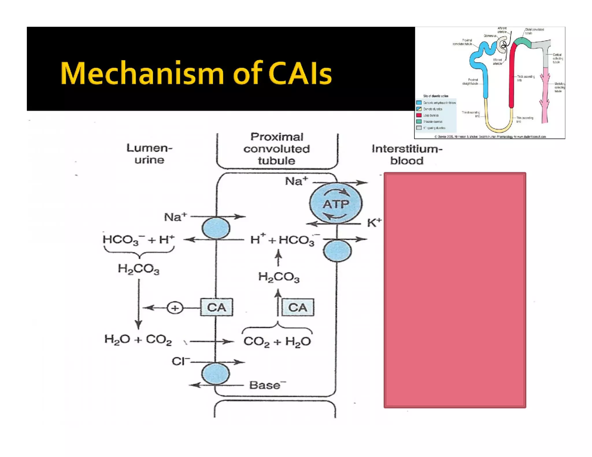 1
1
1
1
1
1
1
1
1
1
1
1
1
 