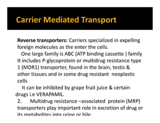 Reverse transporters: Carriers specialized in expelling
foreign molecules as the enter the cells.
One large family is ABC (ATP binding cassette ) family
It includes P-glycoprotein or multidrug resistance type
1 (MDR1) transporter, found in the brain, testis &
other tissues and in some drug resistant neoplastic
cells
It can be inhibited by grape fruit juice & certain
drugs i.e VERAPAMIL.
2. Multidrug resistance –associated protein (MRP)
transporters play important role in excretion of drug or
its metabolites into urine or bile.
 