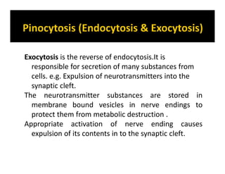 Exocytosis is the reverse of endocytosis.It is
responsible for secretion of many substances from
cells. e.g. Expulsion of neurotransmitters into the
synaptic cleft.
The neurotransmitter substances are stored in
membrane bound vesicles in nerve endings to
protect them from metabolic destruction .
Appropriate activation of nerve ending causes
expulsion of its contents in to the synaptic cleft.
 