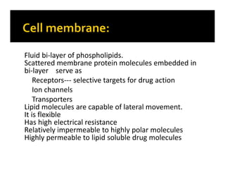 Fluid bi-layer of phospholipids.
Scattered membrane protein molecules embedded in
bi-layer serve as
Receptors--- selective targets for drug action
Ion channels
Transporters
Lipid molecules are capable of lateral movement.
It is flexible
Has high electrical resistance
Relatively impermeable to highly polar molecules
Highly permeable to lipid soluble drug molecules
 