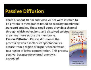 Pores of about 10 nm and 50 to 70 nm were inferred to
be present in membranes based on capillary membrane
transport studies. These small pores provide a channel
through which water, ions, and dissolved solutes such as
urea may move across the membrane.
Passive Diffusion: Passive diffusion is the
process by which molecules spontaneously
diffuse from a region of higher concentration
to a region of lower concentration. This process is
passive because no external energy is
expended
 