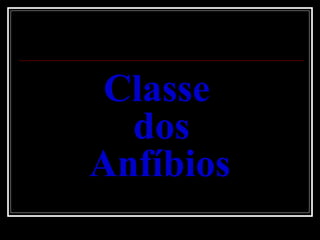 Classe  dos  Anfíbios   