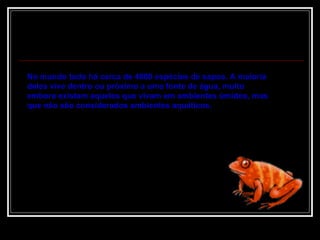 No mundo todo há cerca de 4800 espécies de sapos. A maioria deles vive dentro ou próximo a uma fonte de água, muito embora existam aqueles que vivam em ambientes úmidos, mas que não são considerados ambientes aquáticos.  