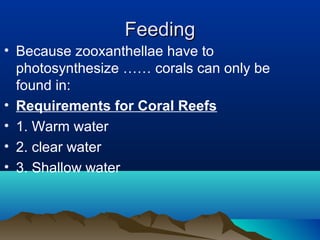 FeedingFeeding
• Because zooxanthellae have to
photosynthesize …… corals can only be
found in:
• Requirements for Coral Reefs
• 1. Warm water
• 2. clear water
• 3. Shallow water
 