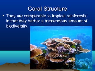 Coral StructureCoral Structure
• They are comparable to tropical rainforests
in that they harbor a tremendous amount of
biodiversity.
 