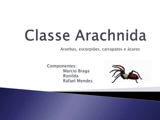Aranhas, escorpiões, carrapatos e ácaros 
Componentes: 
Marcio Braga 
Ronilda 
Rafael Mendes 
 