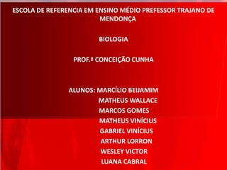 ESCOLA DE REFERENCIA EM ENSINO MÉDIO PREFESSOR TRAJANO DE
MENDONÇA
BIOLOGIA
PROF.ª CONCEIÇÃO CUNHA
ALUNOS: MARCÍLIO BEIJAMIM
MATHEUS WALLACE
MARCOS GOMES
MATHEUS VINÍCIUS
GABRIEL VINÍCIUS
ARTHUR LORRON
WESLEY VICTOR
LUANA CABRAL
 
