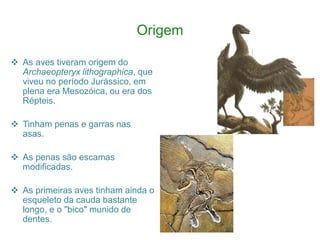 Origem
 As aves tiveram origem do
Archaeopteryx lithographica, que
viveu no período Jurássico, em
plena era Mesozóica, ou era dos
Répteis.
 Tinham penas e garras nas
asas.
 As penas são escamas
modificadas.
 As primeiras aves tinham ainda o
esqueleto da cauda bastante
longo, e o "bico" munido de
dentes.
 