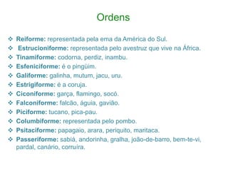 Ordens
 Reiforme: representada pela ema da América do Sul.
 Estrucioniforme: representada pelo avestruz que vive na África.
 Tinamiforme: codorna, perdiz, inambu.
 Esfeniciforme: é o pingüim.
 Galiforme: galinha, mutum, jacu, uru.
 Estrigiforme: é a coruja.
 Ciconiforme: garça, flamingo, socó.
 Falconiforme: falcão, águia, gavião.
 Piciforme: tucano, pica-pau.
 Columbiforme: representada pelo pombo.
 Psitaciforme: papagaio, arara, periquito, maritaca.
 Passeriforme: sabiá, andorinha, gralha, joão-de-barro, bem-te-vi,
pardal, canário, corruíra.
 