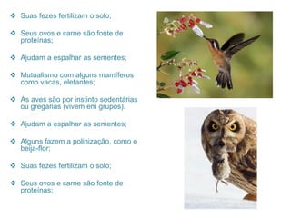  Suas fezes fertilizam o solo;
 Seus ovos e carne são fonte de
proteínas;
 Ajudam a espalhar as sementes;
 Mutualismo com alguns mamíferos
como vacas, elefantes;
 As aves são por instinto sedentárias
ou gregárias (vivem em grupos).
 Ajudam a espalhar as sementes;
 Alguns fazem a polinização, como o
beija-flor;
 Suas fezes fertilizam o solo;
 Seus ovos e carne são fonte de
proteínas;
 