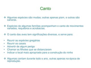 Canto
 Algumas espécies são mudas; outras apenas piam, e outras são
canoras.
 Espécies de algumas famílias acompanham o canto de movimentos
variados, requebros e acrobacias.
 O canto das aves tem significações diversas, e serve para:
• Reunir as espécies gregárias
• Reunir os casais
• Advertir de algum perigo
• Chamar os filhotes que se distanciaram
• Indicar o local mais apropriado para a construção do ninho
 Algumas cantam durante todo o ano, outras apenas na época de
reprodução.
 