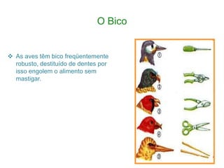 O Bico


 As aves têm bico freqüentemente
  robusto, destituído de dentes por
  isso engolem o alimento sem
  mastigar.
 