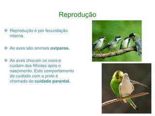 Reprodução

 Reprodução é por fecundação
  interna.

 As aves são animais ovíparos.

 As aves chocam os ovos e
  cuidam dos filhotes após o
  nascimento. Este comportamento
  de cuidado com a prole é
  chamado de cuidado parental.
 