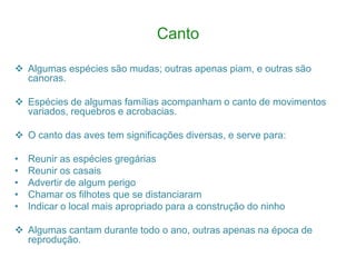 Canto

 Algumas espécies são mudas; outras apenas piam, e outras são
  canoras.

 Espécies de algumas famílias acompanham o canto de movimentos
  variados, requebros e acrobacias.

 O canto das aves tem significações diversas, e serve para:

•   Reunir as espécies gregárias
•   Reunir os casais
•   Advertir de algum perigo
•   Chamar os filhotes que se distanciaram
•   Indicar o local mais apropriado para a construção do ninho

 Algumas cantam durante todo o ano, outras apenas na época de
  reprodução.
 