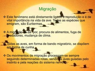 Migração
 Este fenômeno está diretamente ligado à reprodução e é de
  vital importância na vida da ave. Todas as espécies que
  emigram, são Euritermas.

 A migração se dá por, procura de alimentos, fuga de
  predadores, mudança de clima.

 Todas as aves, em forma de bando migratório, se dispõem
  em forma de cunha.

 Os movimentos de migração processam-se sempre
  seguindo determinadas rotas, sendo as aves guiadas pelo
  instinto e pela reações do sistema nervoso.
 
