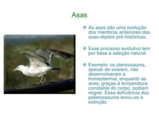 Asas
   As asas são uma evolução
    dos membros anteriores das
    aves-répteis pré-históricas.

   Esse processo evolutivo tem
    por base a seleção natural.

   Exemplo: os pterossauros,
    apesar de voarem, não
    desenvolveram a
    homeotermia, enquanto as
    aves, graças à temperatura
    constante do corpo, podiam
    migrar. Essa deficiência dos
    peterossauros levou-os à
    extinção.
 
